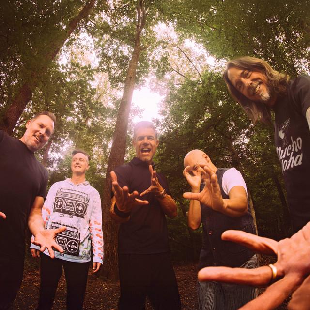 311 and Dirty Heads Chula Vista