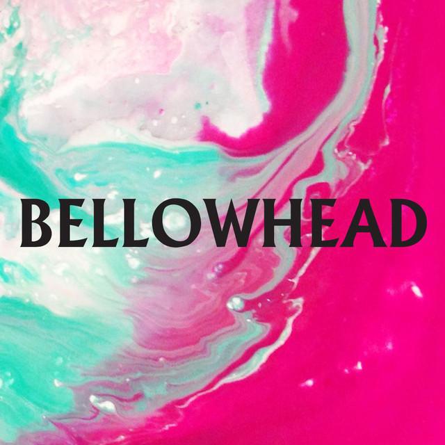 Bellowhead Birmingham
